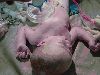Filename=Frederick_is_Born_012_Freddy_s_first_minutes.jpg
Filesize=60KiB
Dimensions=640x480
Date added=Feb 27, 2007 Frederick_is_Born_012_Freddy_s_first_minutes.jpg