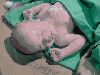 Filename=Frederick_is_Born_018.jpg
Filesize=61KiB
Dimensions=640x480
Date added=Feb 27, 2007 Frederick_is_Born_018.jpg