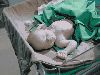 Filename=Frederick_is_Born_023.jpg
Filesize=61KiB
Dimensions=640x480
Date added=Feb 27, 2007 Frederick_is_Born_023.jpg