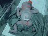 Filename=Frederick_is_Born_025.jpg
Filesize=60KiB
Dimensions=640x480
Date added=Feb 27, 2007 Frederick_is_Born_025.jpg