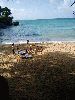 Filename=Araly_s Birthday 2005 050.jpg
Filesize=80KiB
Dimensions=480x640
Date added=Jun 23, 2005 Araly_s Birthday 2005 050.jpg