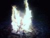 Filename=BurningOfTheDocuments.JPG
Filesize=52KiB
Dimensions=640x480
Date added=Jun 25, 2005 BurningOfTheDocuments.JPG