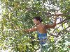 Filename=P6040020.JPG
Filesize=105KiB
Dimensions=640x480
Date added=Jun 25, 2005 P6040020.JPG