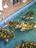 اسم الصورة=Santo Domingo 032.jpg
حجم الملف=96كيلوبايت
الأبعاد=480x640
تاريخ الإضافة=يونيو 23, 2005 Santo Domingo 032.jpg