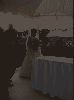 Filename=Wedding 095.jpg
Filesize=22KiB
Dimensions=374x500
Date added=Nov 27, 2005 Wedding 095.jpg