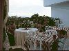Fájlnév=Wedding 107.JPG
Fájlméret=36KiB
Méretek=500x374
Hozzáadás dátuma=2005 November 27. Wedding 107.JPG