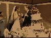 Filename=Wedding 340.jpg
Filesize=40KiB
Dimensions=500x374
Date added=Nov 27, 2005 Wedding 340.jpg