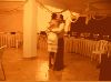 Filnavn=Wedding 353~0.jpg
Filstørrelse=25KiB
Dimensioner=500x374
Dato for tilføjelse=27 Nov, 2005 Wedding 353~0.jpg
