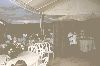 Filename=Wedding,Jim y Araly - 169.jpg
Filesize=35KiB
Dimensions=500x333
Date added=Nov 27, 2005 Wedding,Jim y Araly - 169.jpg