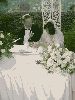 Filename=jim & araly (132).JPG
Filesize=40KiB
Dimensions=375x500
Date added=Nov 27, 2005 jim & araly (132).JPG