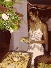 Filename=jim & araly (46).jpg
Filesize=43KiB
Dimensions=375x500
Date added=Nov 27, 2005 jim & araly (46).jpg