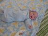 Filename=00002.JPG
Filesize=61KiB
Dimensions=640x480
Date added=Mar 10, 2007 00002.JPG