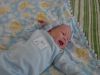 Filename=00007.JPG
Filesize=61KiB
Dimensions=640x480
Date added=Mar 10, 2007 00007.JPG