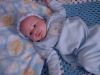 Filename=00009.JPG
Filesize=59KiB
Dimensions=640x480
Date added=Mar 10, 2007 00009.JPG