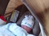 Filename=1st_Day_Home_009.jpg
Filesize=59KiB
Dimensions=640x480
Date added=Mar 10, 2007 1st_Day_Home_009.jpg