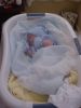 Filename=1st_Day_Home_027.jpg
Filesize=59KiB
Dimensions=480x640
Date added=Mar 10, 2007 1st_Day_Home_027.jpg