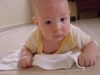 Filename=Freddy_093.jpg
Filesize=59KiB
Dimensions=640x480
Date added=Jul 22, 2007 Freddy_093.jpg