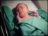 Filename=Robert_Takes_His_1st_Peek.jpg
Filesize=30KiB
Dimensions=649x489
Date added=Jul 26, 2009 Robert_Takes_His_1st_Peek.jpg